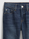GAP Washwell™ Jeans